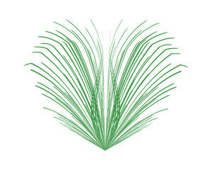 Isolated Green Grass leaf on a white Background for Natural and tropical Ready Design