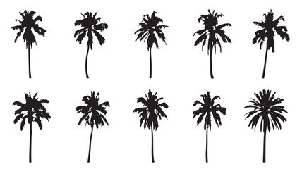 Palm Trees Silhouette Collection in Various Shapes and Sizes on White Background for Tropical Design