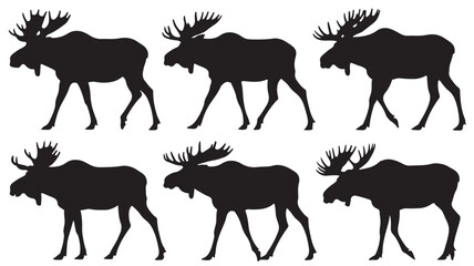 Moose Silhouettes in Various Poses with Antlers in Black on White Background for Wildlife Illustration