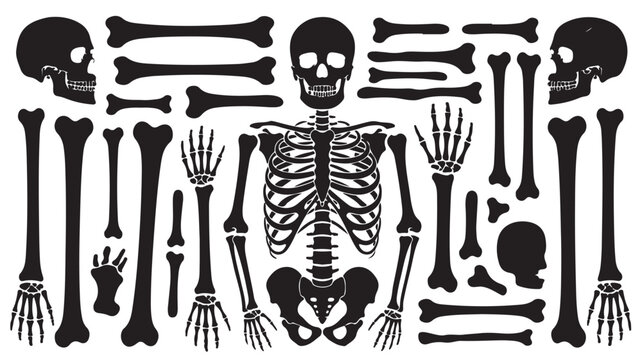 Skeleton Silhouette