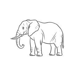 Obraz premium elephant vector illustration