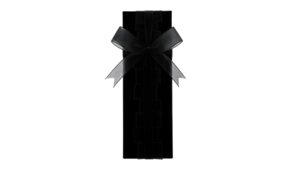 Elegant Black Box with Sheer Ribbon Bow for Gift Presentation or Luxury Packaging