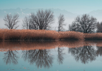A quiet lake and snow-capped mountains, a serene autumn or spring landscape with the reflection of trees and reeds in calm water