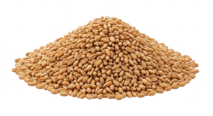 Pile of sesame seeds isolated on white background isolated on transparent background