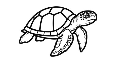 Fototapeta premium Detailed black and white sea turtle in linear design for coloring pages
