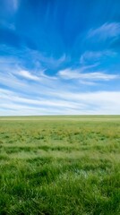 Fototapeta premium Green grassland, blue sky and white clouds