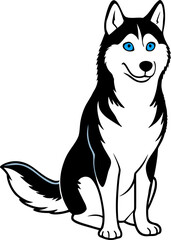 Siberian Husky with Bright Blue Eyes Sitting Dog Portrait, Blue Eyed Siberian Husky Sitting, Husky Dog Sitting Portrait, Cute Siberian Husky with Blue Eyes