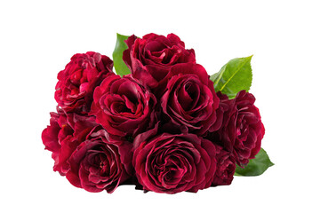 Lush bouquet of deep red roses with vibrant green leaves, showcasing natural beauty and elegance. isolated on transparent background