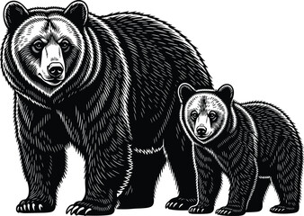 Bear mother and cub illustration, wildlife family bond, detailed engraving style, forest animal art, black blue vector design, isolated, background © Abdul