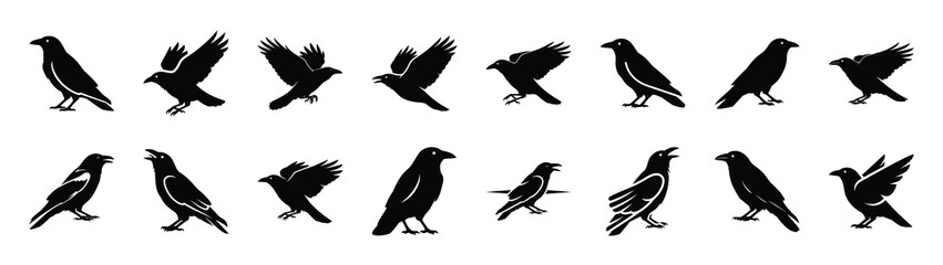 Obraz premium crow icons collection. Animal icon set. Isolated on White background