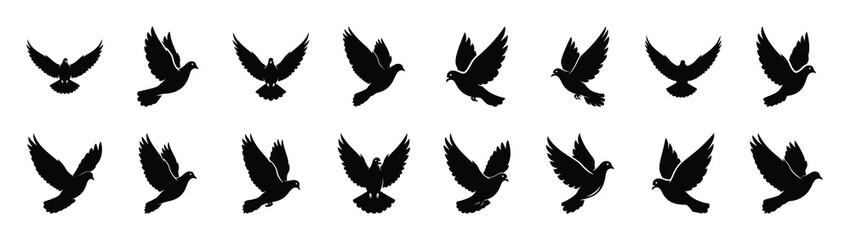 Obraz premium dove icons collection. Animal icon set. Isolated on White background