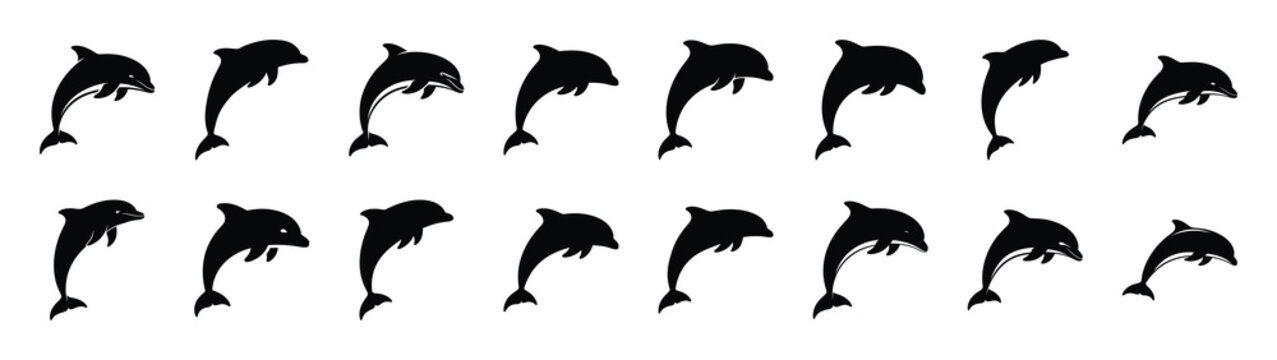 dolphin icons collection. Animal icon set. Isolated on White background