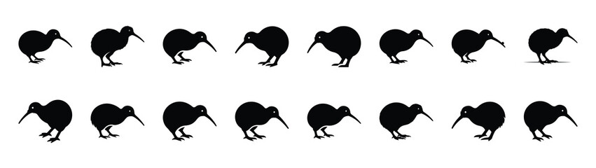 kiwi bird icons collection. Animal icon set. Isolated on White background