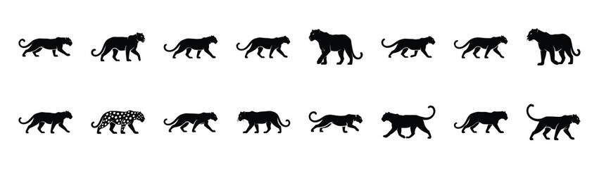 Obraz premium leopard icons collection. Animal icon set. Isolated on White background
