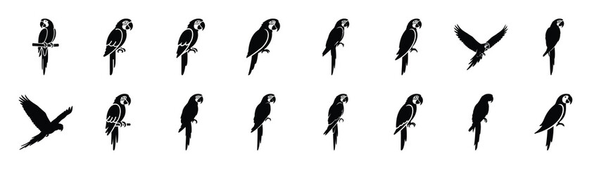 macaw icons collection. Animal icon set. Isolated on White background