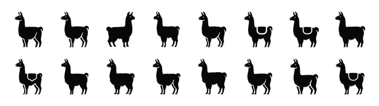 llama icons collection. Animal icon set. Isolated on White background