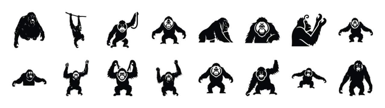 orangutan icons collection. Animal icon set. Isolated on White background