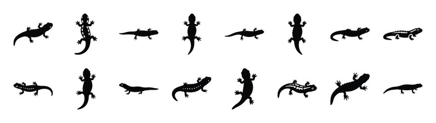 salamander icons collection. Animal icon set. Isolated on White background