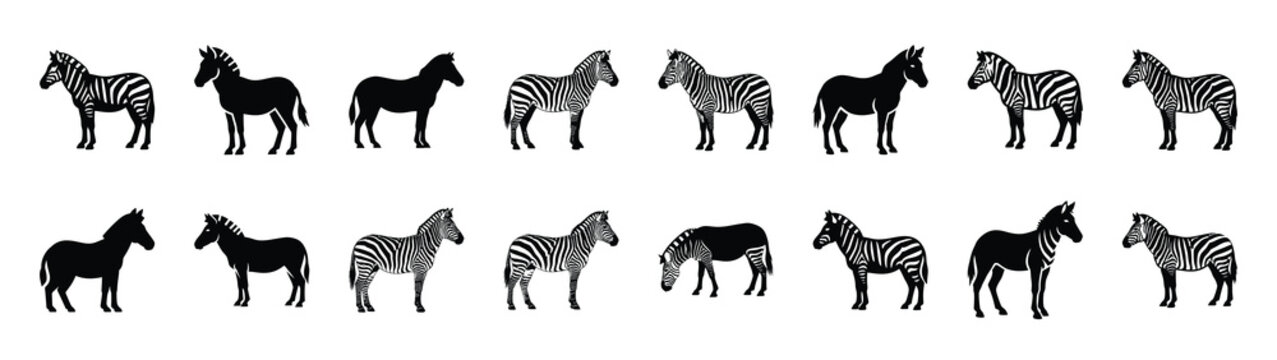 zebra icons collection. Animal icon set. Isolated on White background