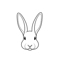 vector illustration of a rabbit
