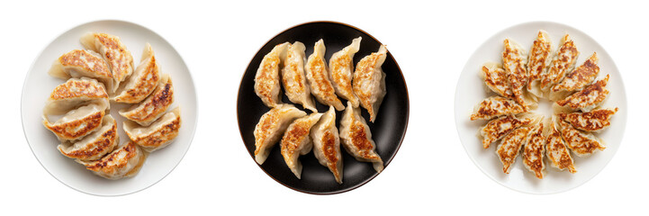 Top View of Assorted Delicious Dumplings on Plates Isolated on Transparent Background