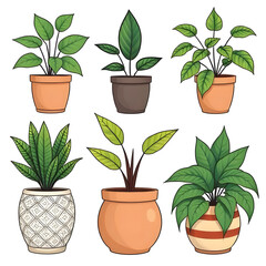 Obraz premium plants in pots, tropical plants, indoor tropical plants, lush greenery, big leaf plants, monstera plant, fiddle leaf fig, palm plant, indoor palms, jungle plants, exotic plants, leafy decor, natural i
