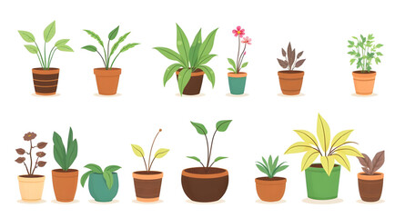 plants in pots, potted flowers, flowering plants, indoor flowers, blooming plants, decorative flower pots, colorful plants, floral decor, house flowers, ornamental plants, balcony plants, terrace plan