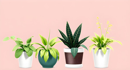 Fototapeta premium plants in pots, potted flowers, flowering plants, indoor flowers, blooming plants, decorative flower pots, colorful plants, floral decor, house flowers, ornamental plants, balcony plants, terrace plan