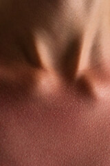 Sunburned Skin Texture on Neck and Collarbone Close-Up