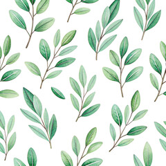Delicate watercolor-style olive branches with muted green and gray tones are densely arranged across the frame, exhibiting a repeating pattern against a vibrant,, isolated on transparent background.