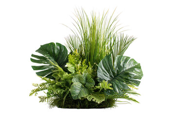Lush tropical plant arrangement with vibrant green monstera leaves and varied foliage isolated on transparent background