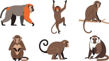 Flat vector illustration set of brown monkeys in various poses including climbing sitting walking and hanging for wildlife nature and jungle designs. © MstBobita