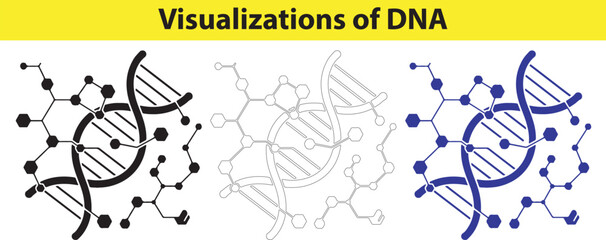 Three DNA Helix Structures Visualization for Science Education