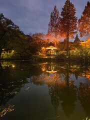 reflection of trees in the lake