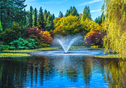 Fountain Autumn Fall Van Dusen Garden Vancouver Canada