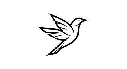 Obraz premium Adobe Illustrator Artwork