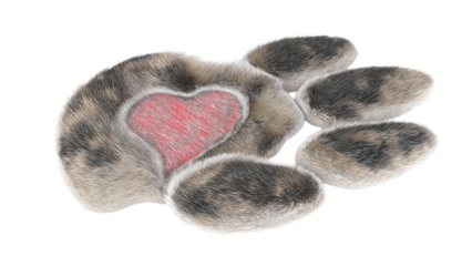 Cute Paw Print with Heart Isolated
