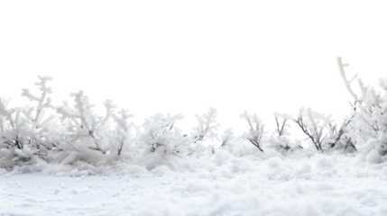 Snow-covered flooring with soft textures forming a natural border on a white background