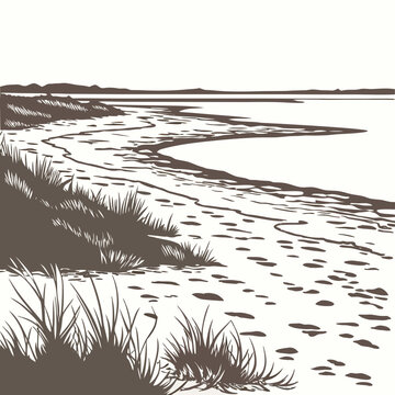 Coastal flatland with tide mark patterns and grassy shoreline