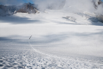 Group of roped climbers crossing vast snowy glacier in high mountains