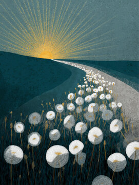 Dreamy Dandelion Meadow Path at Sunrise Vector Landscape with Golden Light for Editorial Design, Posters, Branding, and Calm Visual Storytelling
