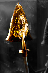 volutes de fum&eacute;e devant une lampe champignon