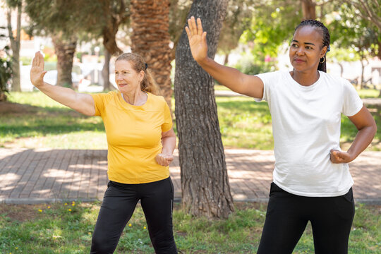 Diverse women practicing tai chi in a sunny outdoor park, engaging in gentle exercise for wellness, balance, and mindful movement during a healthy senior lifestyle workout