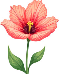 Red hibiscus flower illustration isolated on white background, tropical floral clipart