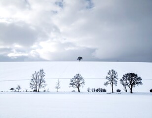Snowy field with lone tree