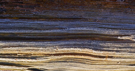 A tree trunk covered with frost crystals in a forest on a winter day in the light of a dim sun.