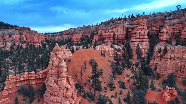 Stunning columned rocks in Red Canyon National Park, Utah, USA. Scarce coniferous trees grow in the scenery. Aerial view.