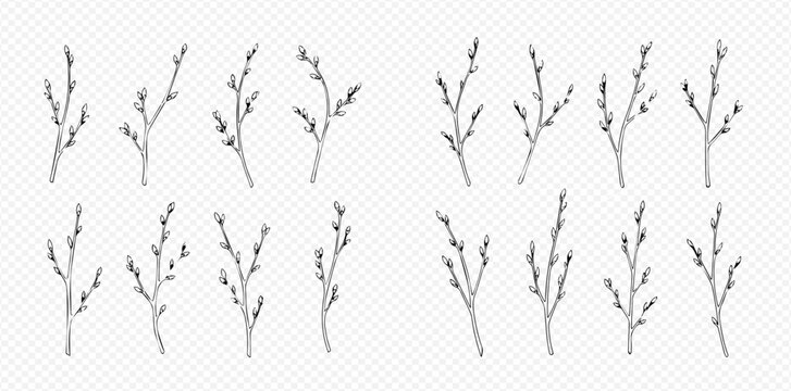 Set of hand-drawn willow branches with buds, perfect for spring and Easter designs.