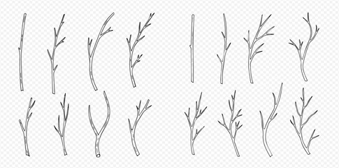 Set of bare tree branches, twigs, and sticks in various shapes and sizes. © Akun