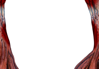 cloth with blood stains transparent png. murder. homicide. death